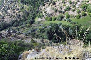15 ANDALOUSIE - SIERRA NEVADA - TREVELEZ 11 09 2018 (6)